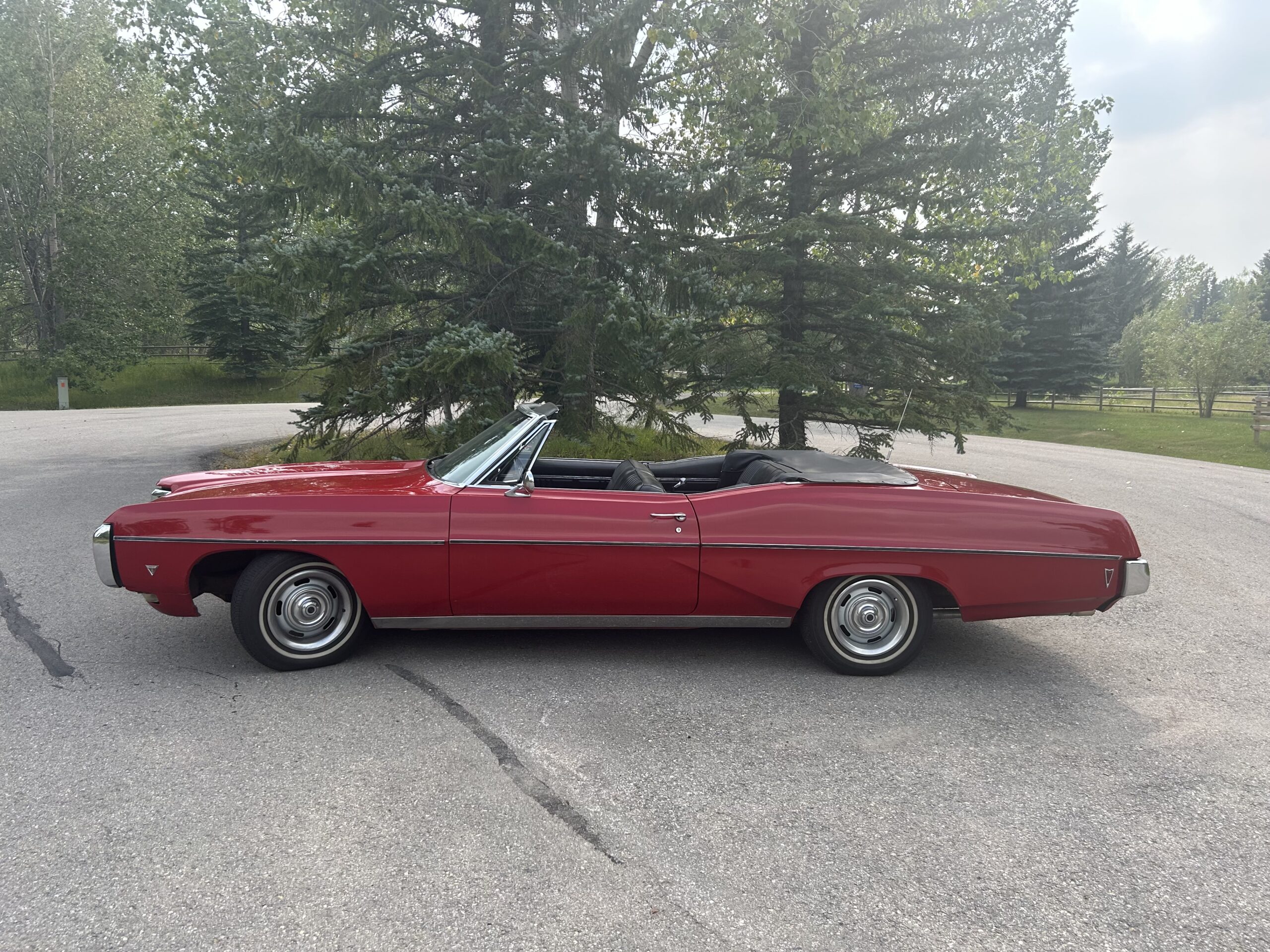 Photo 2024-08-15, 3 55 52 PM